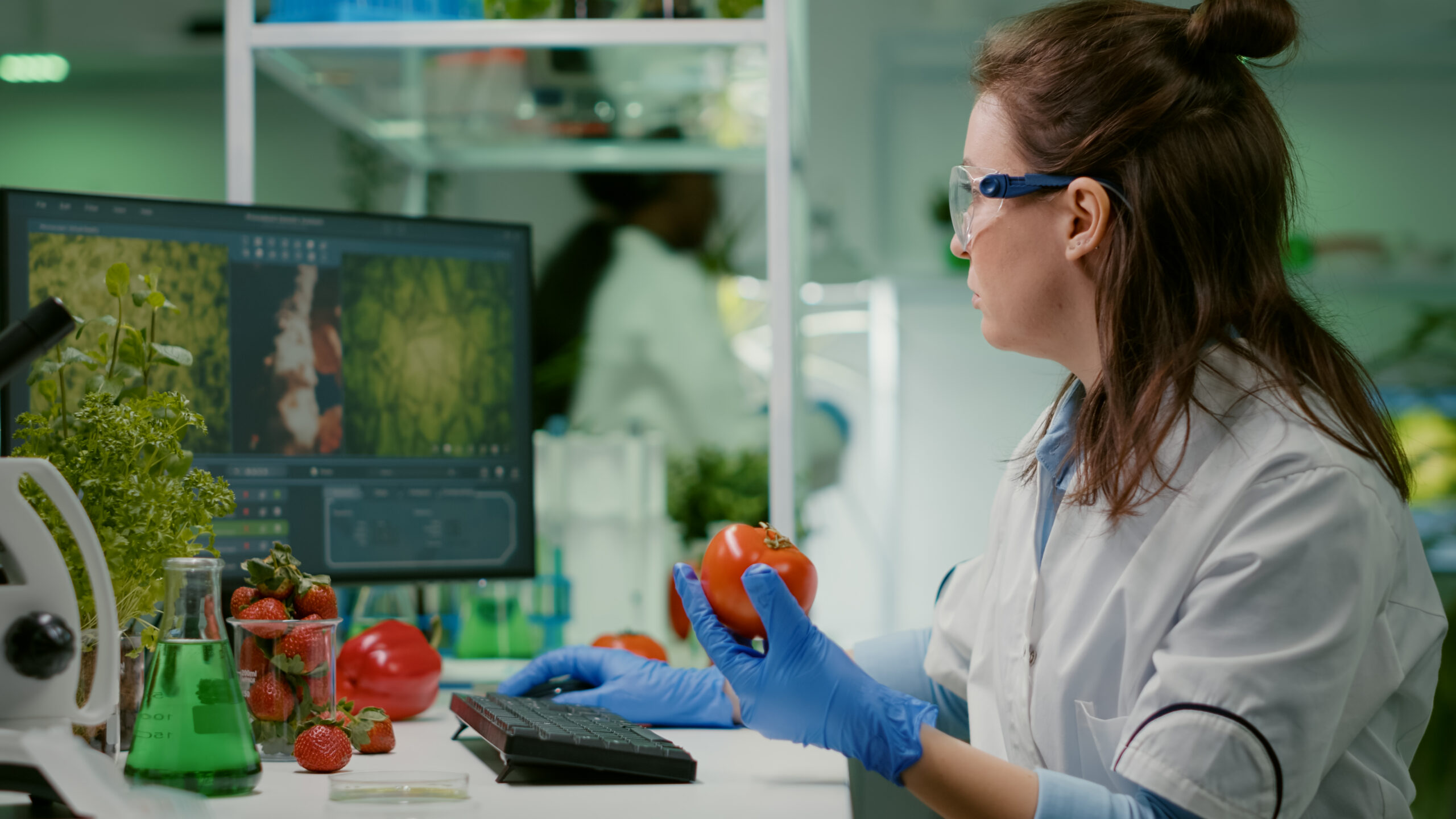 pharmaceutical-chemist-examining-tomato-microbiology-experiment-typing-medical-information (2)
